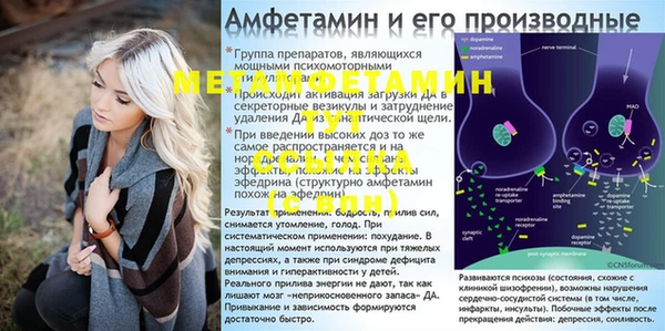 крисы Абаза