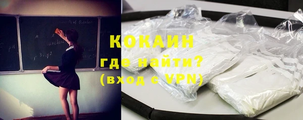 крисы Абаза