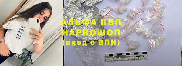 крисы Абаза