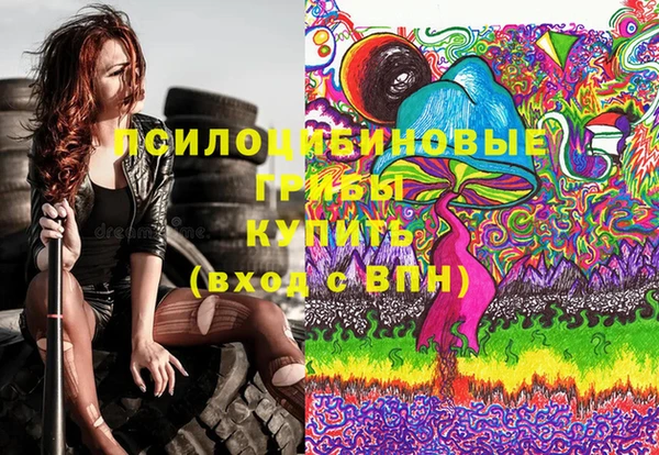 крисы Абаза