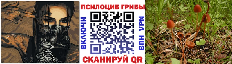 Псилоцибиновые грибы Cubensis Шумерля
